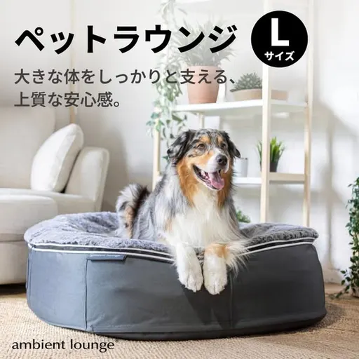 ambientlounge.eu ad: 大きな体をしっかりと支える、上質な安心感。