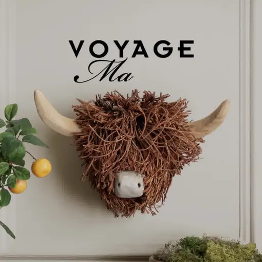 voyagemaison.com ad: Spotlight On Cushions & Throws